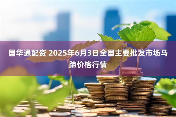 国华通配资 2025年6月3日全国主要批发市场马蹄价格行情