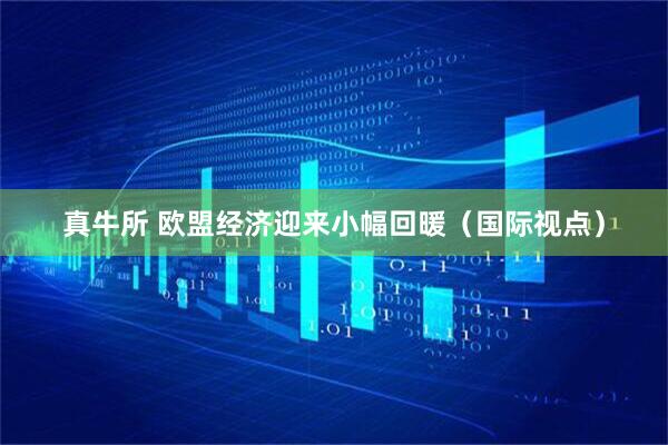 真牛所 欧盟经济迎来小幅回暖（国际视点）